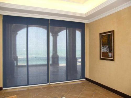 Soltis99 F2009 800x600